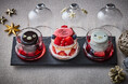 【ホテルメトロポリタン】「Suicaのペンギン クリスマスケーキ」付き 宿泊プラン