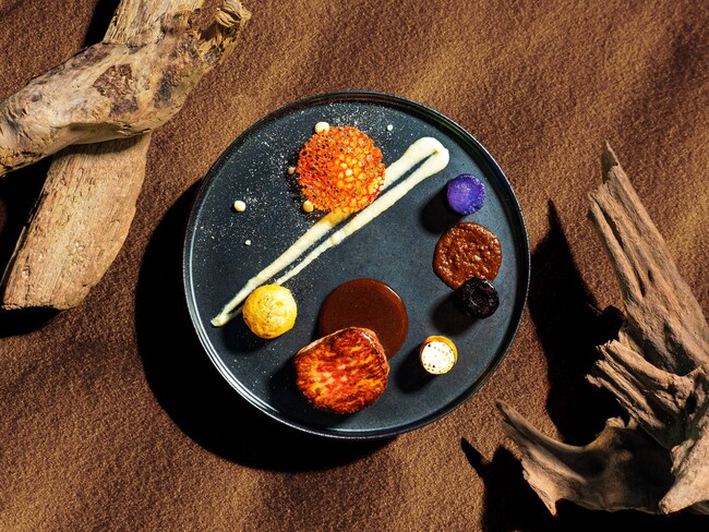 I Defy You, Stars! I Defy You, Stars!