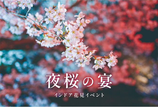 インドア花見イベント「夜桜の宴」 インドア花見イベント「夜桜の宴」