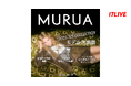 トレンドに敏感な女性に大人気のアパレルブランドの巨大看板モデルになれる!『「MURUA」S/S COLLECTION モデル決定戦』開催!