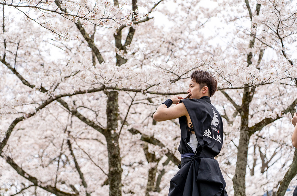 2020年の「桜 ～SAKURA～」を全世界の自粛している方々へ届けたい！