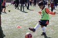 スポーツ・食・芸術！親子で学べるイベントから大人のための教養講座まで。ダイナースクラブがこの秋にぴったりの「カルチャーラボ」第8期を開講します！