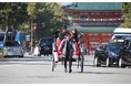 2026年6月スタート、ダイナースクラブのユニークなトラベルサービス　人力車で颯爽と駆け抜ける、新感覚の京都名所巡り