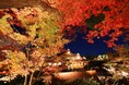 通常非公開の風月殿で芸舞妓鑑賞・呈茶を体験 ～北野天満宮「夜の特別参拝」をダイナースクラブ会員限定で開催～