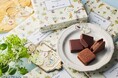 【ピーターラビット™ × VANILLABEANS】人気No.1スイーツ「ショーコラ＆パリトロ」にコラボレーション限定デザイン登場！5月1日(金)より全店舗で期間限定販売