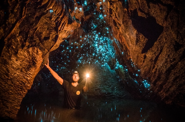 地下水脈に浮かぶ星!? 「 ワイトモ洞窟」で 青く光るツチボタルに心奪われる／ニュージーランド