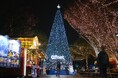 クリスマスアドベント天神中央公園会場「QTnet presents 光のフォレスト」スタート　2025.11.13(木)～