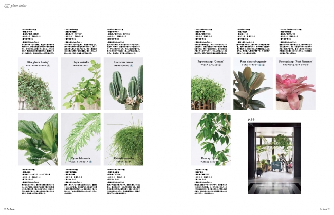 Plant Index