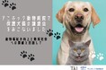 ペット医療DXのTYLが保護犬猫の譲渡会を開催