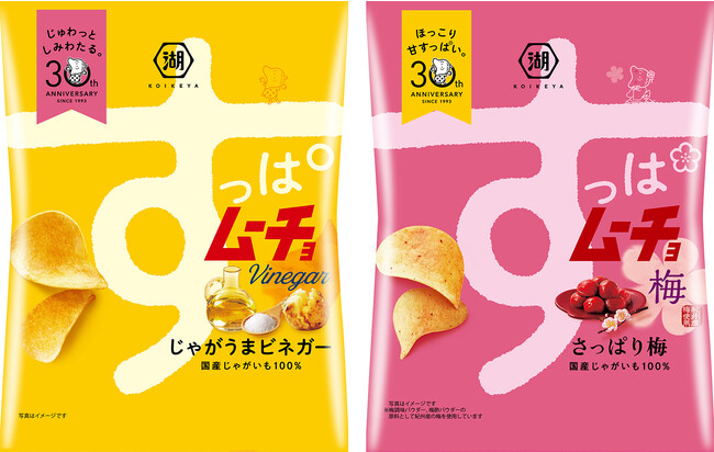 ファン待望No.1の味※が定番化！ 強発散系すっぱムーチョ「めっちゃすっぱムーチョ すーっぱいビネガー」｜湖池屋のプレスリリース