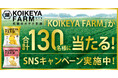 究極のポテチ計画「KOIKEYA FARM」 定番展開スタート&新CM公開を記念する2つのキャンペーンを実施!