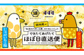 湖池屋×ほぼ日『できたてあげたてほぼ日直送便』 大人気の会場限定ポテトチップスが今年も登場!