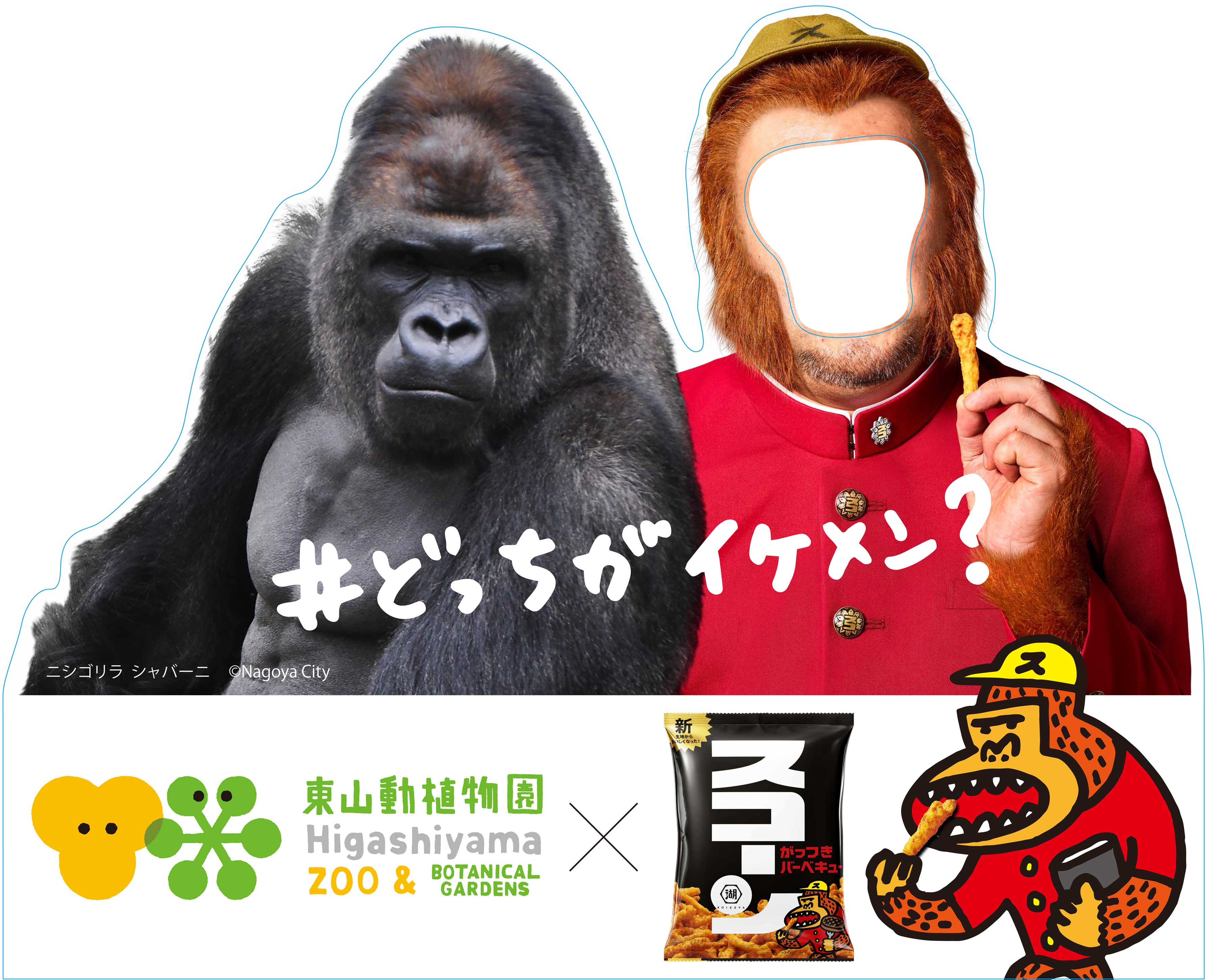 名古屋 東山動植物園 湖池屋 スコーン学園 イケメンゴリラ シャバーニ ハラペコング めざせゴリラマスター ゴリラ 入試 を実施 湖池屋のプレスリリース