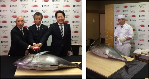 エースコック (コンビニ限定)近畿大学水産研究所×つるとんたん監修