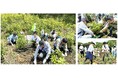 DHC本社移転に伴うご寄付を受けて植樹を実施