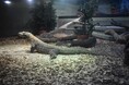 「竜泉寺の湯」、東山動植物園の動物スポンサーに就任