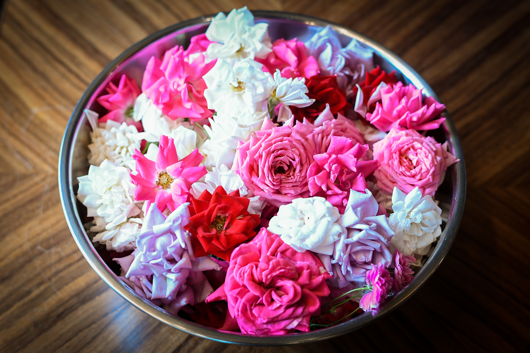 世界初 完全閉鎖型植物工場での食用バラの栽培に成功 通年出荷が可能な食用バラ Nobel Rose の量産出荷を開始 食べられる花屋edible Garden Dot Science株式会社のプレスリリース
