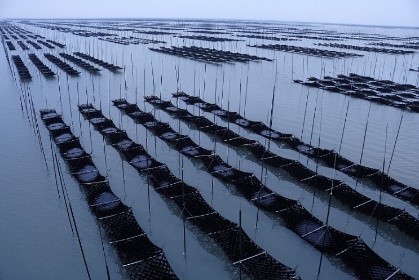 ▲佐賀県有明海のり養殖の風景 （パッケージ裏面を抜粋）