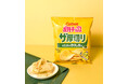 厚切りポテトチップスのために開発した“のりしお”フレーバーが新登場！唐辛子と黒こしょうの隠し味で旨み引き立つ『ポテトチップス ザ厚切り のためののりしお味』