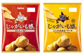 北海道産じゃがいもを100%使用した新ブランドが誕生!じゃがいもへのこだわりと貯蔵技術の大切さを伝える『じゃがいも感。 まろみ岩塩味/じんわり北海道バター味』