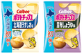 2025年も初掘り※じゃがいもを使用した、今だけのポテトチップスをお届け『北海道初掘りポテトチップス 北海道うすしお味/昆布しょうゆ味』
