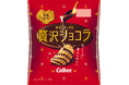 発売15周年!秋冬の定番、チョコレート※1ポテトチップスが今年も登場『ポテトチップス 贅沢ショコラ』