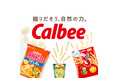 カルビー公式TikTokアカウントを開設！縦型ショート動画で商品秘話や企業ストーリーを発信　2026年2月4日（水）より投稿開始