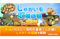 3年連続！宮城県の契約生産者の畑でファンミーティングを開催 Calbee『Fan With! Project』～じゃがいも収穫体験 in 宮城～