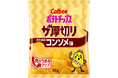 厚切りポテトチップスの定番が進化！肉のうま味を強化し、さらに満足感がアップ『ポテトチップス ザ厚切り のためのコンソメ味』