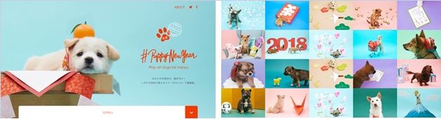 2018年は戌年 すべての犬に 幸せな新年を 年賀状で里親を探すプロジェクト Puppy New Year を公開 Npo法人犬 と猫のためのライフボートのプレスリリース
