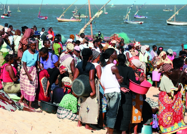 【7月】モザンビーク／魚の水揚げを待つ女性たち