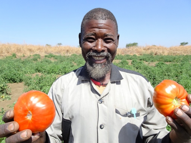 JVCが支援した井戸で「もっと野菜を栽培できる」と言ってくれたアブドゥルラフマーンさん。訪問する度にトマトのおすそ分けをくれる。
