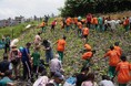 1999年から四半世紀にわたって　継続ネパールで累計48万本以上を植樹