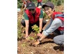 山田養蜂場が、中国で4万本を植樹する、新プロジェクト始動!~雲南省麗江市で植生回復5か年計画を実施~