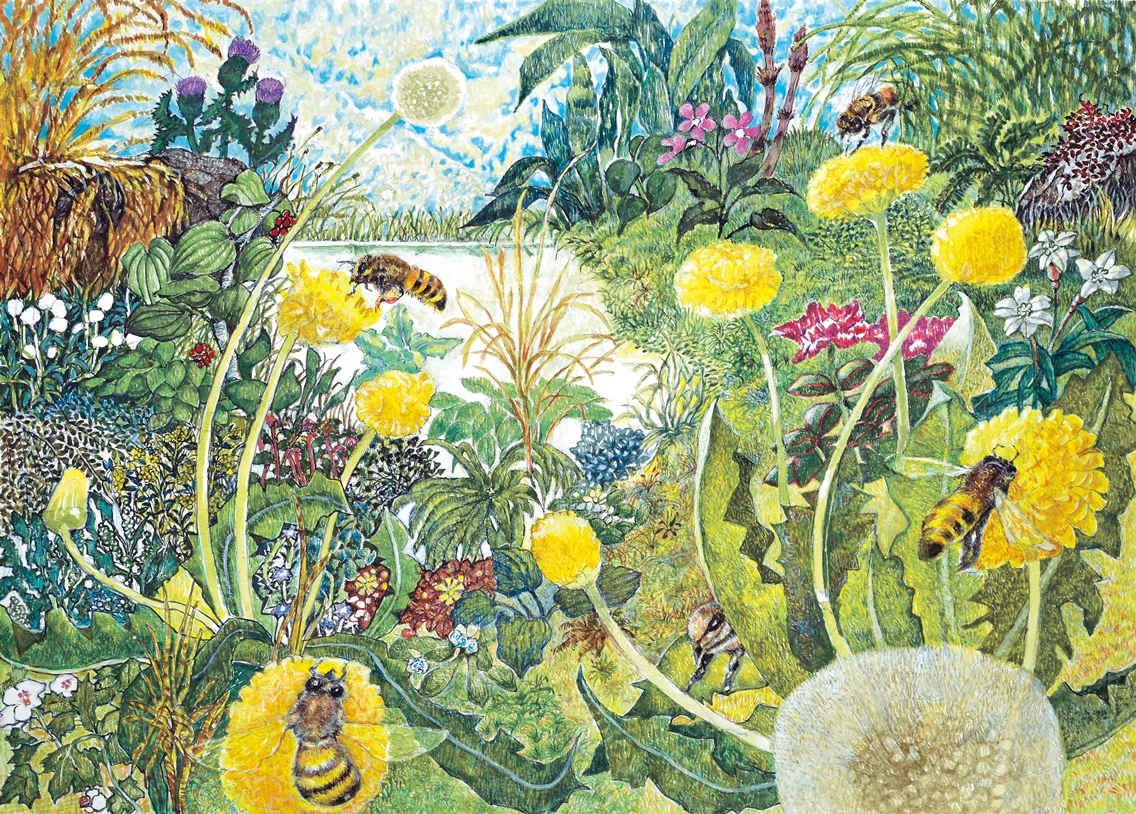ミツバチ の 一 枚 画 コンクール