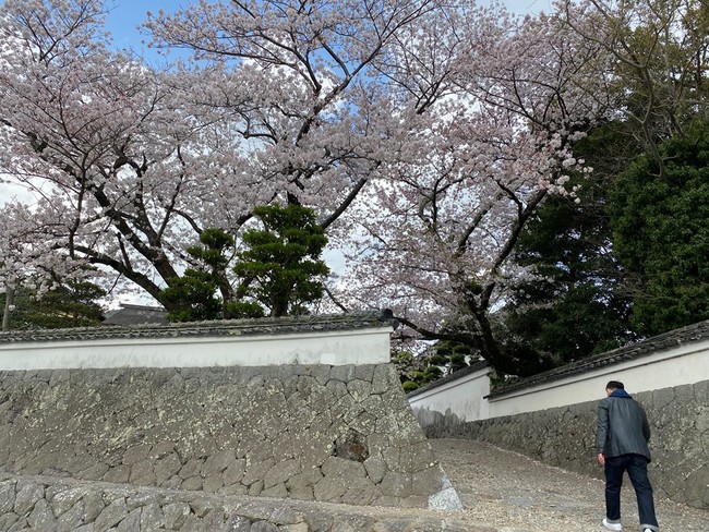 「中西圭三の朝ぶら散歩」（旅チャンネル）