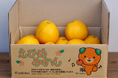 バイオマス由来のガスバリア材〈PLANTIC®〉がみかん箱に初採用