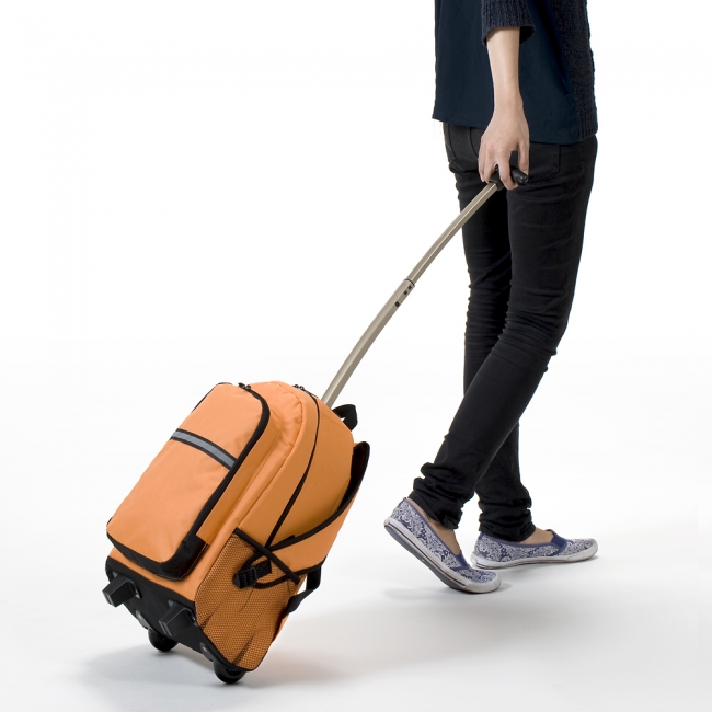 キャリーバッグにも