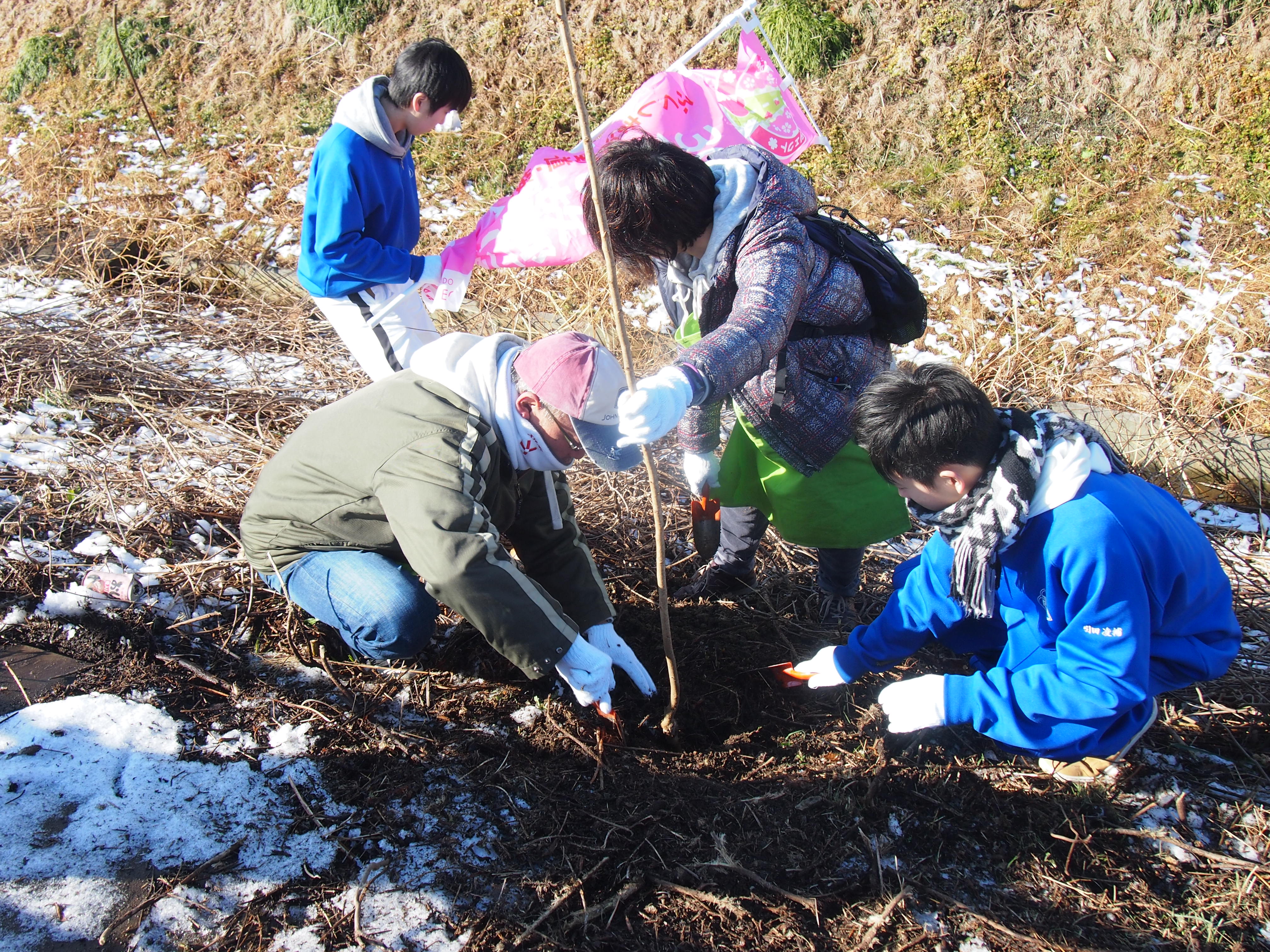 日本の未来を担う 子どもたちのために 桜の植樹と教育支援を 今年度も引き続き実施 株式会社 Dinos Corporationのプレスリリース