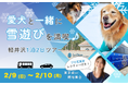 「休日いぬ部」初主催!愛犬と雪遊びを楽しむ豪華貸切1泊2食付きツアーを販売開始