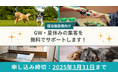 ペットと泊まれる宿の予約増加を無料でサポート。「休日いぬ部」の特別企画、参加宿泊施設の募集を開始