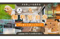 【休日いぬ部×メルキュール 特別企画】“豪華ステイ”が当たる!抽選で5組に無料宿泊券をプレゼント!