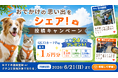 【休日いぬ部 特別企画】総勢24名様に最大1万円分のQUOカードPayが当たる！「施設登録＆クチコミ投稿キャンペーン」を開催！