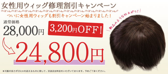 ウィッグ修理 一律24,800円キャンペーン実施 企業リリース | 日刊工業