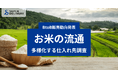 【BtoB販売動向発表】クレーンゲームやカプセルトイの景品にまで広がる“お米需要”