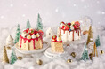 【MERCER bis】2025クリスマス限定シフォンケーキご予約開始！