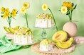 【期間限定】初夏のご褒美が今年も帰ってくる。MERCER bisの人気シフォン「フレッシュ完熟メロン」が5月1日（金）に再登場！