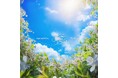 アイドルグループ・Devil ANTHEM. が、新曲『莉時雨』を本日配信リリース！