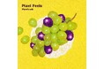 京都発、オルタナティブ・ポップロックバンド・Viewtradeが、New EP「Pixel Feels」をリリース！