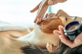 コンラッド東京、「水月スパ＆フィットネス」にてバレンタイン限定プランを提供